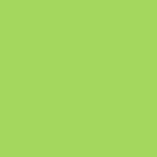 Neon Green 039