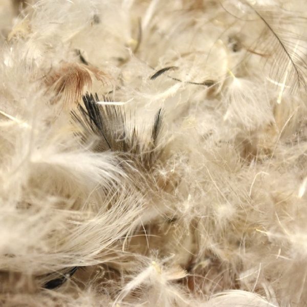 GOOSE DOWN 25%, FEATHERS 75%