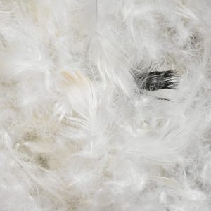 GOOSE DOWN 80%, FEATHERS 20%