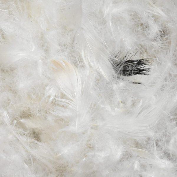 GOOSE DOWN 80%, FEATHERS 20%