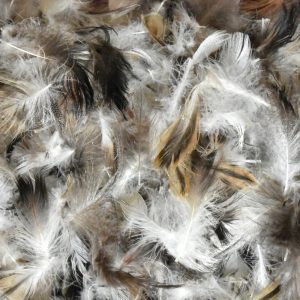 GOOSE DOWN 5%, FEATHERS 95%