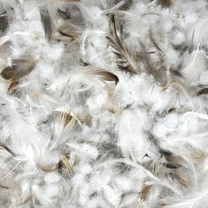 FIBER DOWN 50%, 50% (1/2 AUS FIBER, 1/2 25/75)