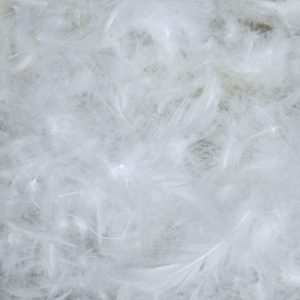 WHITE GOOSE DOWN 100%