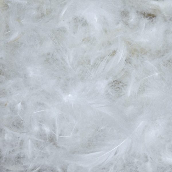 WHITE GOOSE DOWN 100%