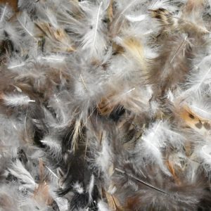 DOWN 10%, FEATHERS 90%