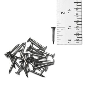 SPRING UP NAILS 1" (1 LB BOX)